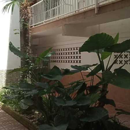 Bellamar 25 *