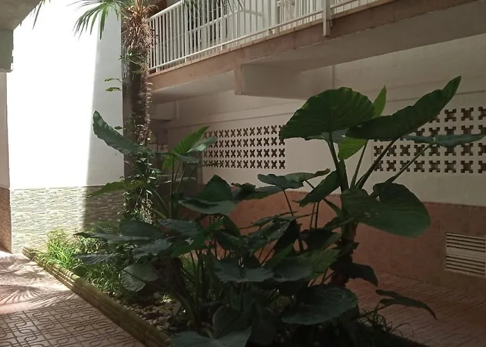 Bellamar 25 *